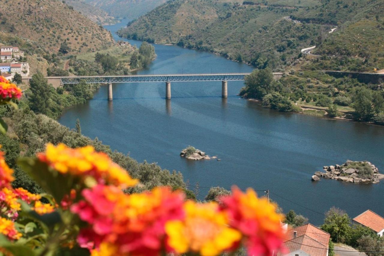 Quinta Do Belo-Ver Turismo De Habitacao Belver  Eksteriør billede